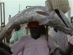 AfricanFish