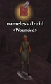 Nameless druid (Jarsath Wastes).jpg