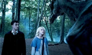 HarryLunaThestral