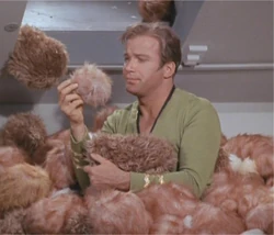 Kirk surrounded by Tribbles