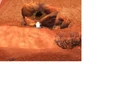 Thumbnail for version as of 03:28, July 30, 2008