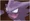 Haunter