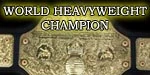 VWF World.jpg