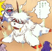 Gon (Ikkakumon)