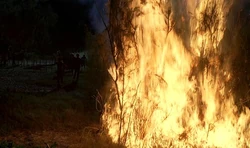Feuer