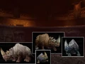 Capturedrhinos.jpg
