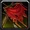 Spell Misc WarsongFocus.png