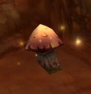 Drycap Mushroom