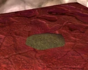 Fei Fei's Cache.jpg
