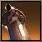 Spell Icon