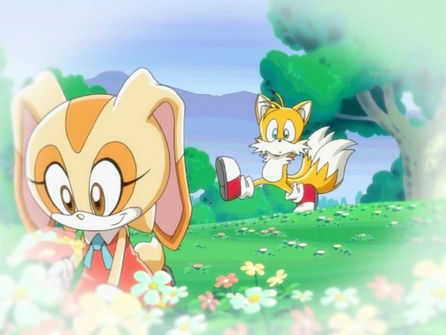 Sonic X 77