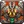 Inv shield 59