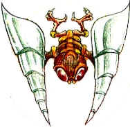 Metaree