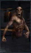 http://stalker.wikia