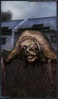 http://stalker.wikia