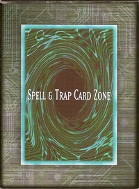 Spell&TrapCardZone5DS1.png