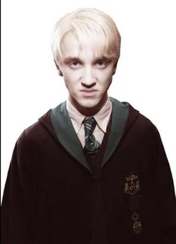 Draco Malfoy Mugshot
