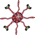 Porlegion2
