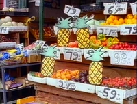 4pineapples.jpg