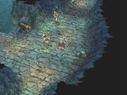 Viking's Cove