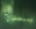 Dark Mark.JPG