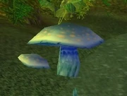 Laden Mushroom.jpg