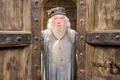 Dumbledore..jpg