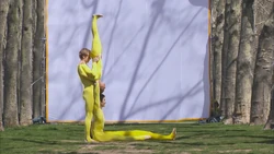 4161.L-acrobats