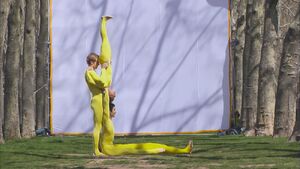 4161.L-acrobats