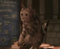Mcgonagall.JPG