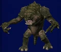 Aranei.jpg
