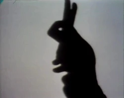 Shadowrabbit