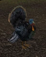 Turkey.jpg