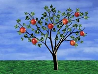 8apples.jpg