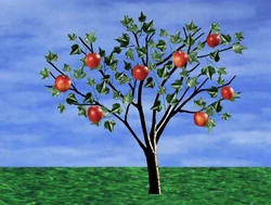 8apples