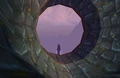Underbelly tunnel out looking out.jpg
