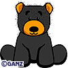 webkinz american black bear