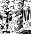 Greel Tree.jpg