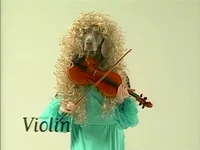 Wegmandogs.Violin.jpg