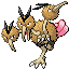 Dodrio RZ