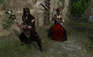 New armor 5