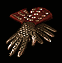 D2-u-Chanceguards