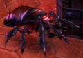Cursed Scarab.jpg