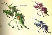 Mantaxx