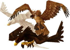 Birds of prey