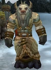 Camp Winterhoof Wayfarer