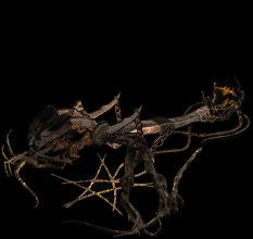 Catapult