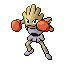 Hitmonchan RZ
