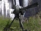 AIE-486H HMG.jpg
