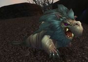 Lion Seal